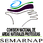 logoarea.gif (7393 bytes)