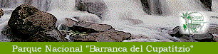 parque1.gif (10817 bytes)