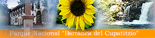 parque2.gif (15112 bytes)