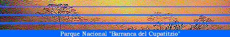 parque4.gif (19394 bytes)